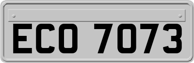 ECO7073