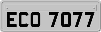 ECO7077