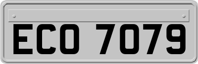 ECO7079
