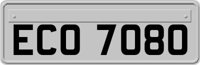 ECO7080