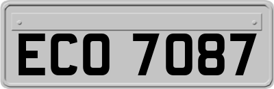 ECO7087