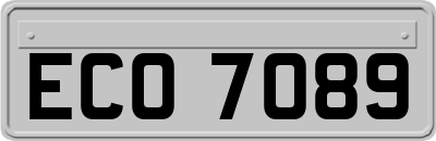 ECO7089