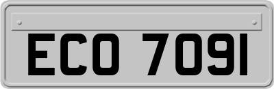 ECO7091