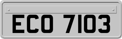ECO7103