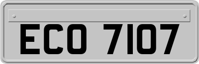 ECO7107