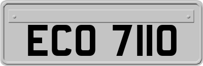 ECO7110