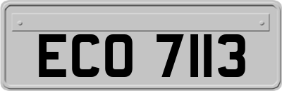 ECO7113