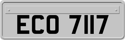 ECO7117