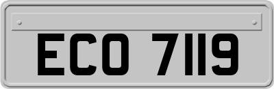 ECO7119