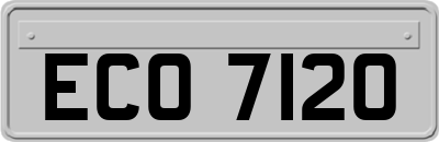 ECO7120