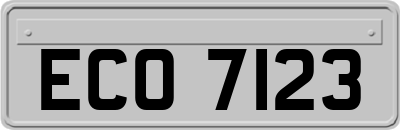 ECO7123