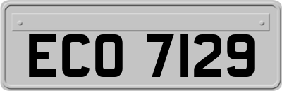 ECO7129