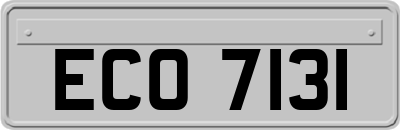 ECO7131