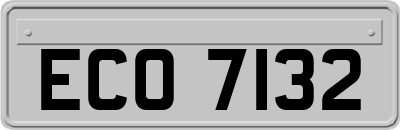 ECO7132