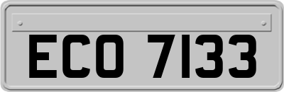 ECO7133