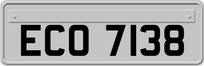 ECO7138