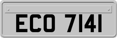 ECO7141