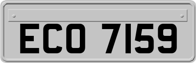 ECO7159