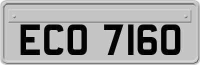 ECO7160