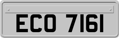 ECO7161