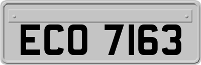 ECO7163