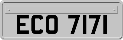ECO7171