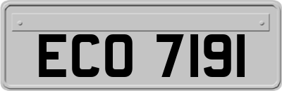 ECO7191