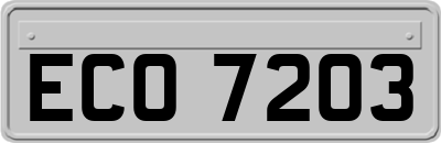 ECO7203