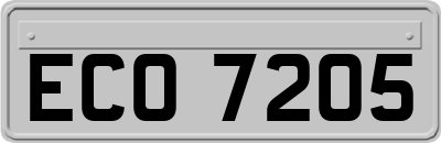 ECO7205