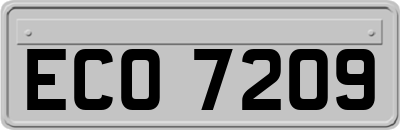 ECO7209