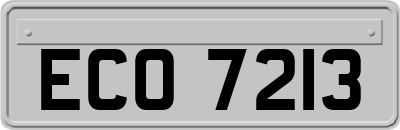 ECO7213
