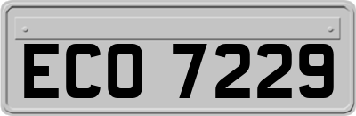 ECO7229
