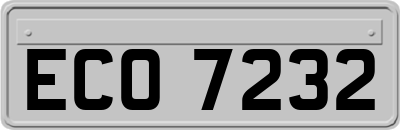 ECO7232