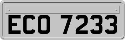 ECO7233