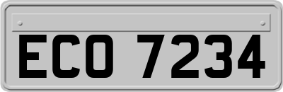 ECO7234