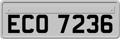 ECO7236
