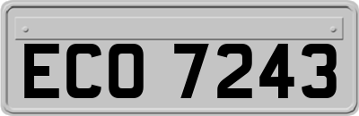 ECO7243