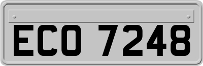 ECO7248