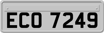 ECO7249