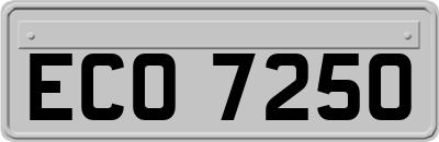ECO7250
