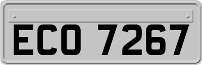 ECO7267