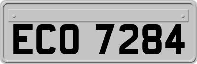 ECO7284