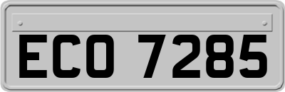 ECO7285