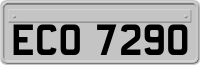 ECO7290