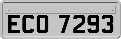 ECO7293