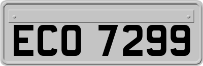 ECO7299