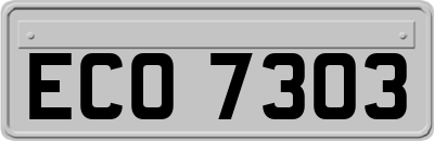 ECO7303