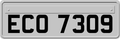 ECO7309