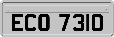 ECO7310