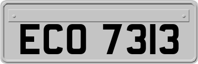 ECO7313